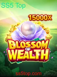 A Jornada de 'BlossomofWealth' no Universo dos Jogos