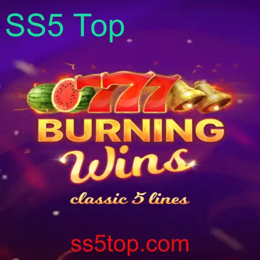 Explorando o Fascinante Universo de BurningWins: A Experiência de Jogo Supereficiente
