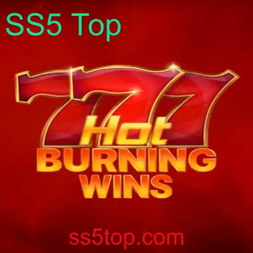 Descubra o Excitante Mundo de HotBurningWins - Um Guia Completo